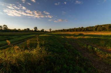 Bir yaz akşamı güzel gün batımı
