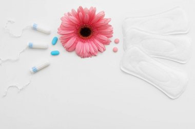 Tampon veya yastıkları, kadın hijyen seçin ve korumak