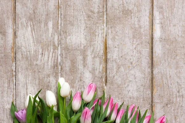 Marco de tulipanes rosados sobre fondo de madera — Foto de Stock
