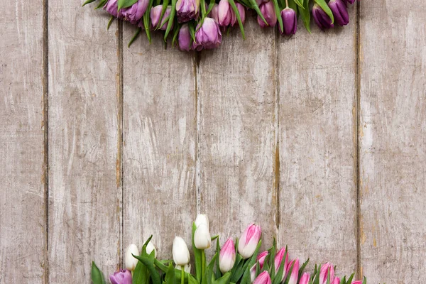 Marco de tulipanes rosados. Fondo de primavera — Foto de Stock