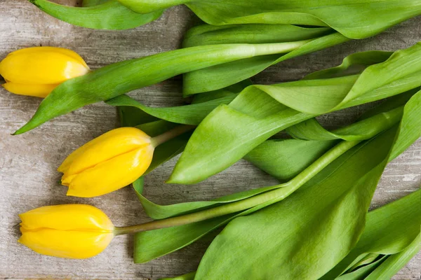 Tulpenblumen auf hölzernem Hintergrund. Federkonstruktion — Stockfoto