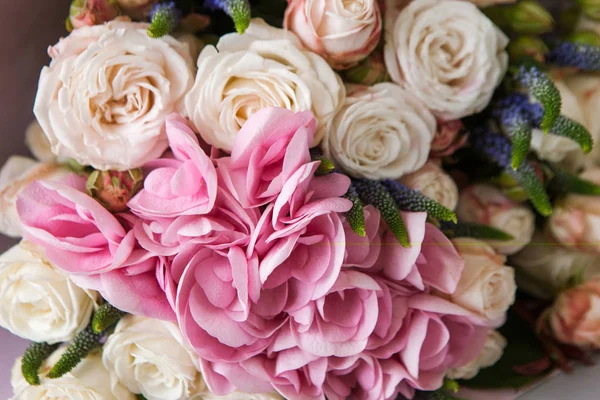 Hortensia et fleurs de rose fond gros plan — Photo