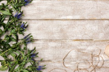 Çalışma alanı kır çiçeği dekor düz ile yatıyordu