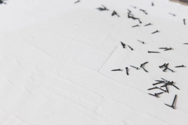 Küçük metal çivi portre. Bina arka plan.