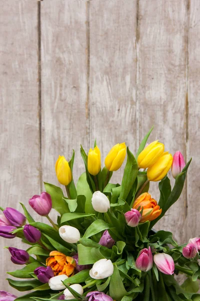 Marco de tulipanes de flores de colores. Fondo floral — Foto de Stock