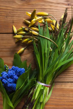 Lale ve muscari tablo üzerinde oluşan
