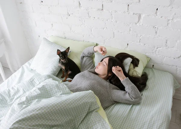 Yalnız kız köpekle uyan