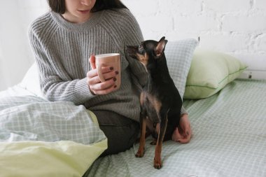 Köpek ve insan arasındaki dostluk