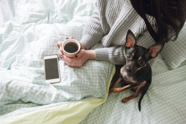 İnsan ve köpek arasındaki arkadaşlık.
