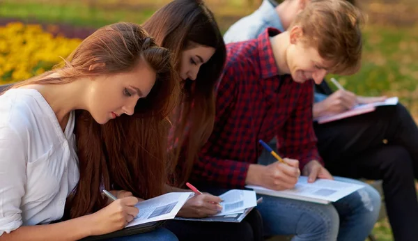 Evrak, takım çalışması, sosyal anket kavramı