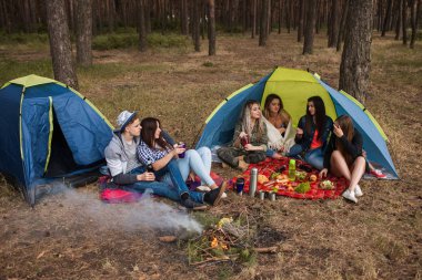 Lezzetli piknik yiyecek ve içecek turist arkadaşlar