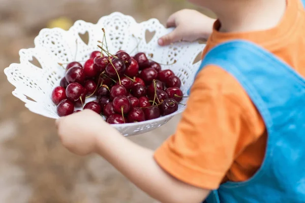 Gâteries santé baies nature enfant concept . — Photo