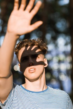 Kamaştırmak güneş ışığı yakışıklı adam doğa kavramı.