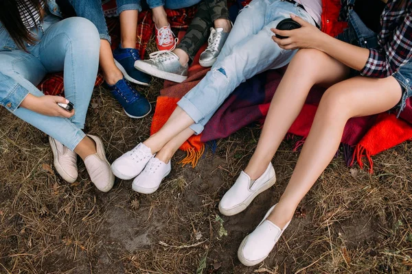 Gruppo amici pic-nic riposo natura foresta concetto . — Foto Stock