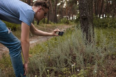 Kamera doku oluşturmak orman çim fotoğraf kavramı.