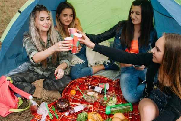 Znajomi turyści pyszne piknik jedzeniem i piciem — Zdjęcie stockowe