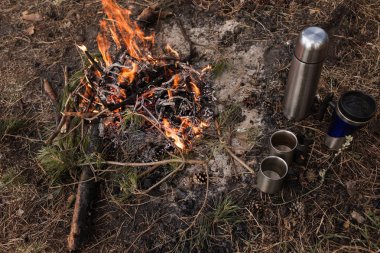 Şenlik ateşi turizm doğa orman çay Kupası kavramı