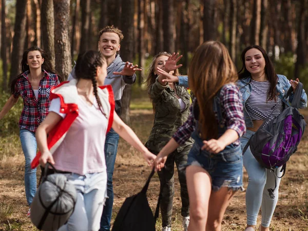 Feliz grupo joven senderismo juntos concepto de bosque — Foto de Stock