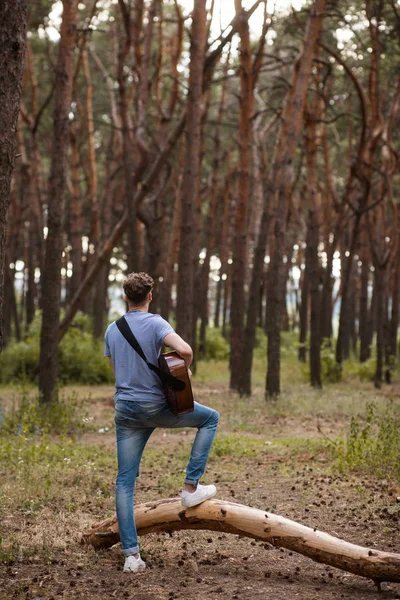 有才华的吉他弹奏者玩森林远足概念. — 图库照片