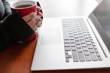 sosyal medya kadın dizüstü gönderme blogger