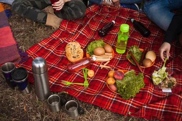 Picknick Natur Zeit leckeres Essen Getränk Konzept. — Stockfoto