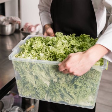 yeşil salata vejetaryen restoran organik sağlıklı gıda
