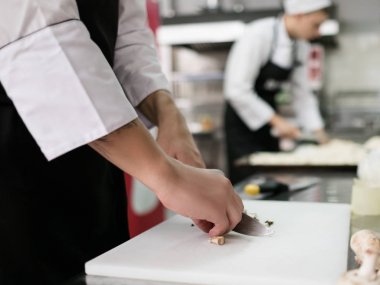 Restoran yemek hazırlama rutin iş malzemeler