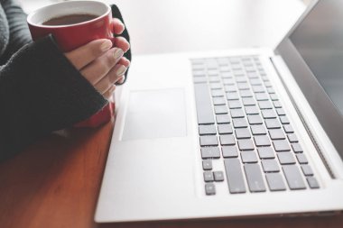 freelancer iş ev kadın bilgisayar laptop