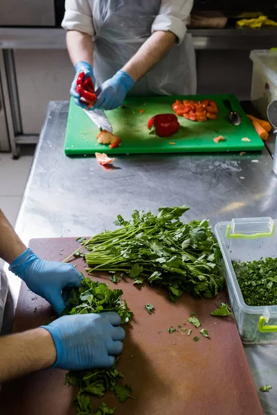 Hierbas perejil fresco verde nutrición vegana adecuada —  Fotos de Stock
