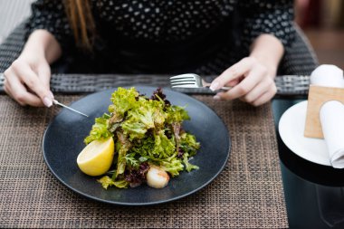 Vejetaryen salata organik gıda yaşam tarzı dengeli