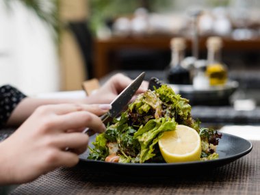 diyet gıda yemek kilo kaybı salata sağlıklı uygun