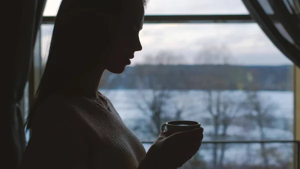 Comodidad relajación ocio chica beber té en casa — Foto de Stock