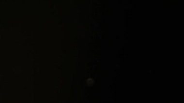 parçacık hareket bulanık bokeh lekeleri siyah toz