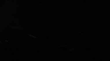 toz parçacık hızlı hareket bulanıklığı bokeh Rüzgar etkisi