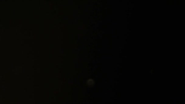 poussière particule mouvement bokeh flou specks noir 