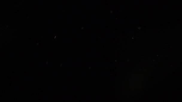 poussière particule mouvement abstrait specks mouvement 