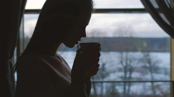 Comodidad relajación noche chica beber té en casa — Foto de Stock