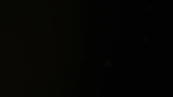 poussière particule mouvement bokeh flou specks noir 