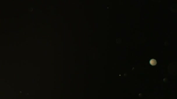 poussière particule flottant déconcentré specks noir 