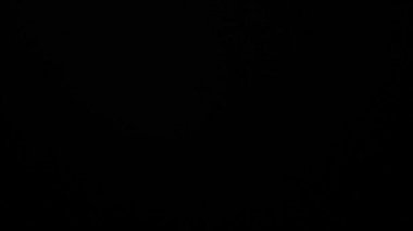 gerçek lens flare hareket ışık etkisi ray sızıntısı