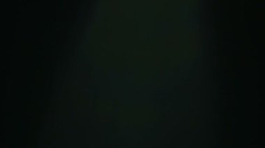 yumuşak ufuk ışık lens flare parlayan hareket