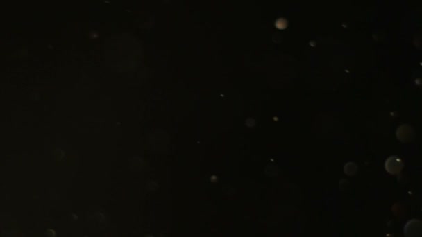 poussière particule flottant déconcentré specks noir 