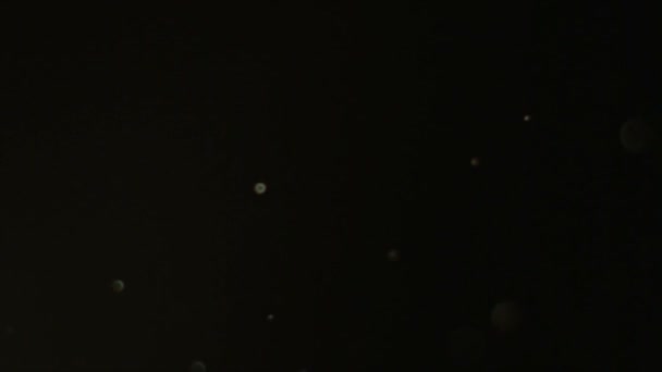 poussière particule flottant déconcentré specks noir 