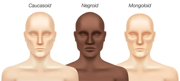 Races humaines, illustration vectorielle . — Image vectorielle