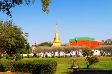 Açık gökyüzü alan çim 