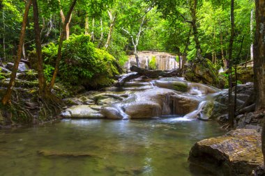 Erawan ve yeşil orman