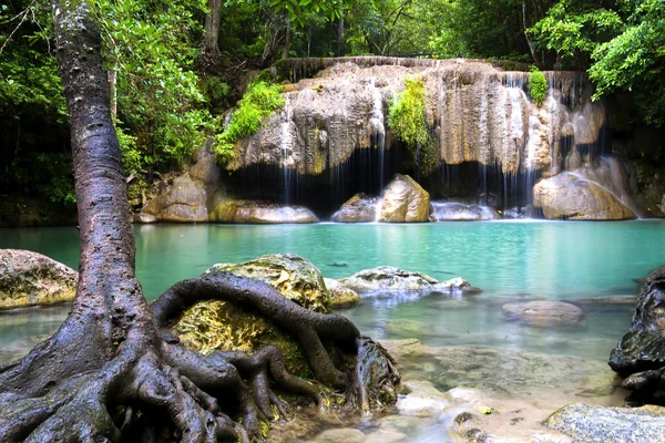 Cascata e albero dopo la pioggia — Foto Stock