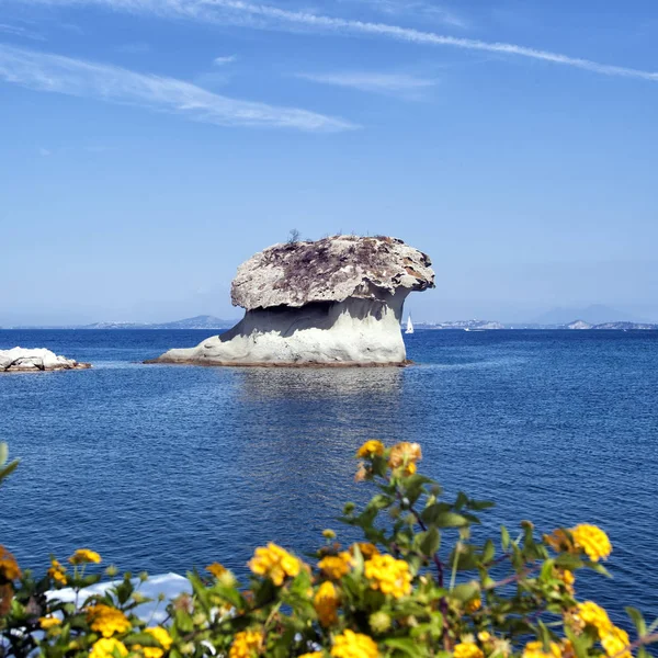 Svampen, ischia. — Stockfoto