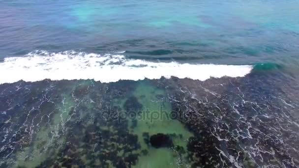 Flygfoto över surfare, stranden Baie Lazare, Mahe Island, Seychellerna 3 — Stockvideo