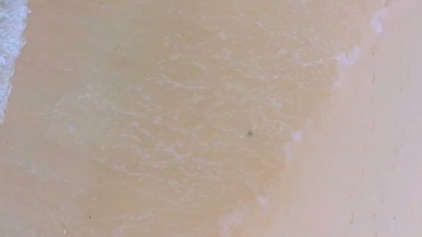 Widok z lotu ptaka piasek i fale na plaży Baie Lazare Mahé, Seszele — Wideo stockowe